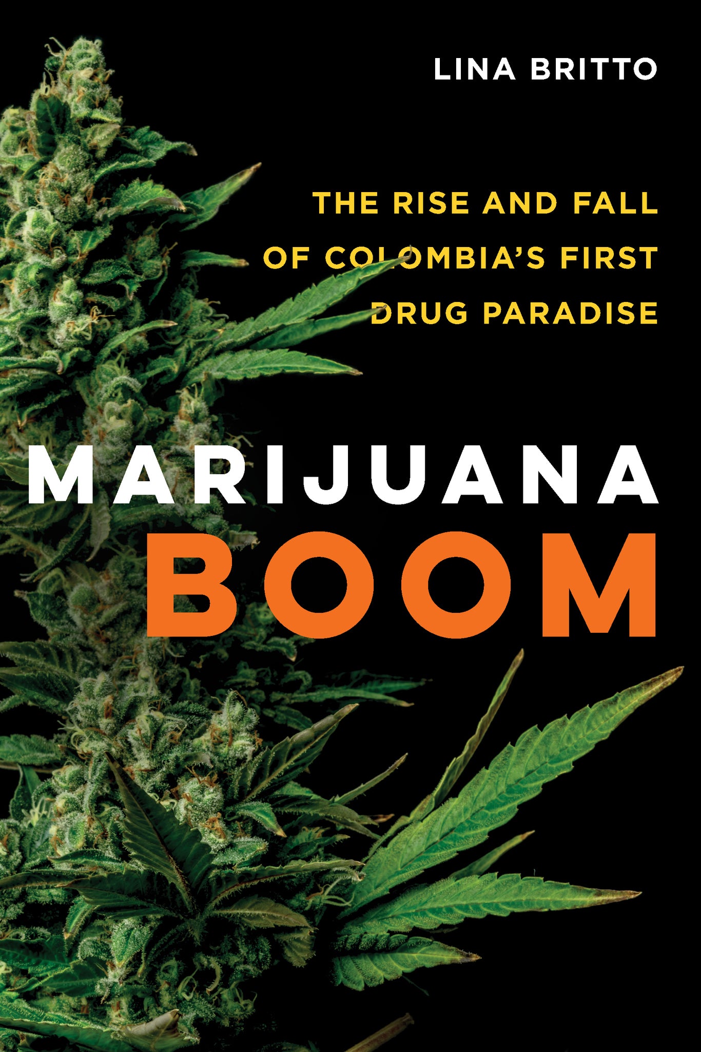 Marijuana Boom